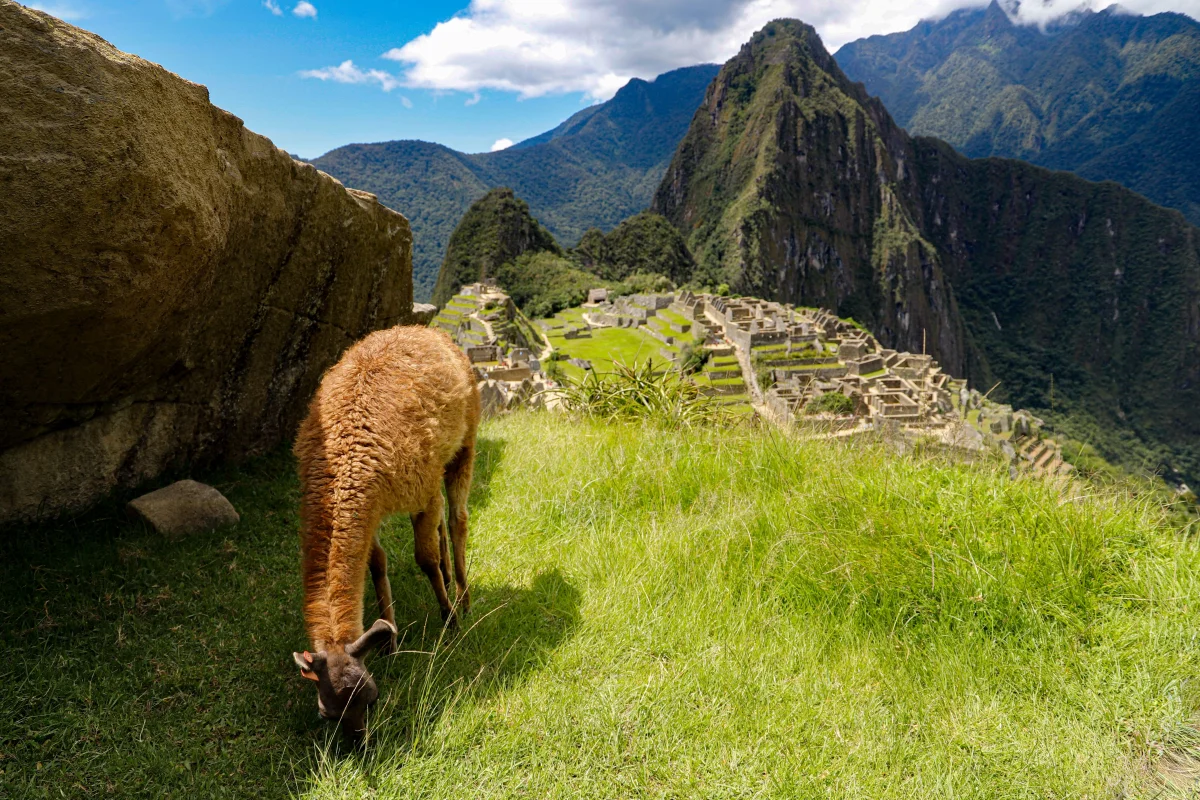 Camino Inca a Machu Picchu