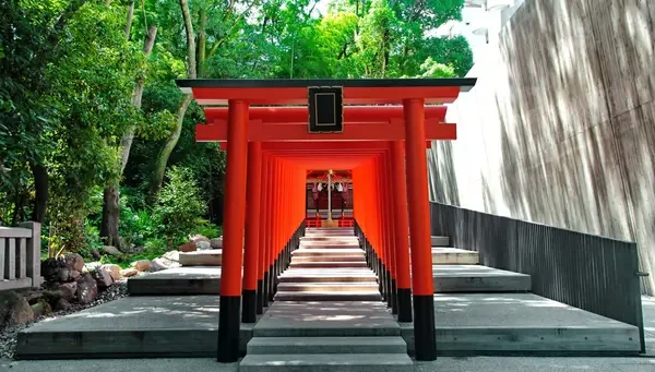 KOBE - OSAKA - MONTE KOYA