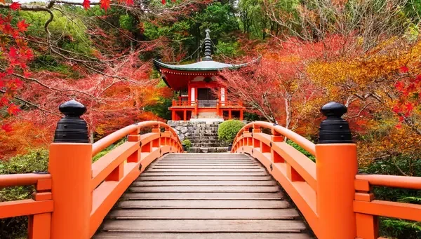 TOKIO